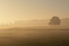 DSC_0580-Ommen-met-SR-2016