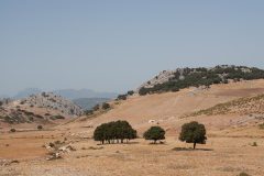 Op weg van Antequera naar Sevilla