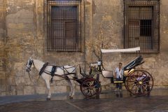 Cordoba, rijtuig voor Mezquita