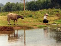 De rivier oversteken