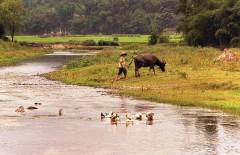 De rivier oversteken