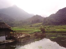 Landschap met eendenkooi