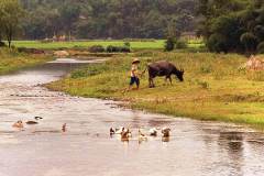 De rivier oversteken