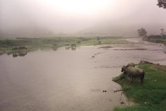 Rivier 's-morgens vroeg