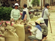 5.5a.-Vrouwen-bij-kraam-met-zakken-meel-M07-06-DeNoiseAI-severe-noise-uitsnede-jpeg-klein