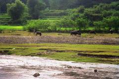 Landschap