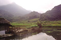 Landschap met eendenkooi