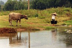 Bij de rivier