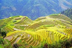 Panorama rijstterrassen (Longsheng, 1997)