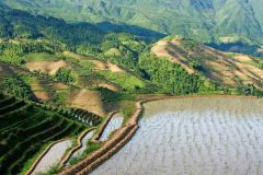 Uitzicht op rijstterrassen (Longsheng, 2009)