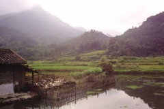Landschap met eendenkooi