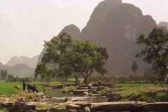 Fantastisch landschap in omgeving Yangshuo