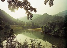 Landschap bij rivier