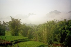  Landschap met lage mist