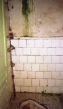   Douche in Ling Jiao 