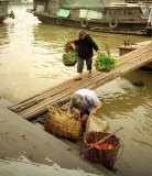  Haven Wuzhou