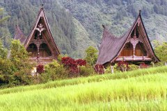 Batakhuizen  (Sumatra, 1981)