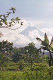 Vulkaan Merapi (Java, 1981)