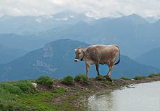 Op de top van de Monte Baldo (Gardameer, 2011)