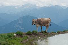 Op de top van de Monte Baldo (Gardameer, 2011)