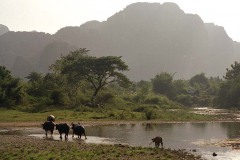 Karbouwen bij rivier