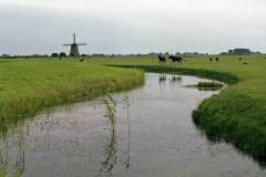 Omgeving Marken (1982)