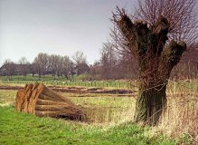 Noordwesthoek Overijssel (1987)