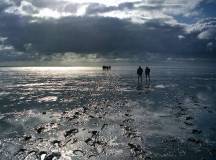 Wadlopen van Holwerd naar Ameland (1986)