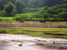 08.26.-Achter-de-rivier-bij-Xiaosanjiang-M12-47 08.26.-Achter-de-rivier-bij-Xiaosanjiang-M12-47