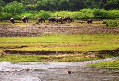 08.28.-Rivier-bij-Xiaojansiang-M12-49 08.28.-Rivier-bij-Xiaojansiang-M12-49