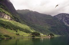 Naeroyfjorden