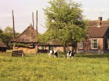 Boerderij omgeving Nieuw Leusen (1986)