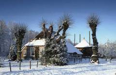 Boerderij in sneeuw (omgeving Dalfsen, Overijssel, 1987)