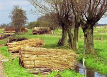 Omgeving St. Jansklooster (1987)