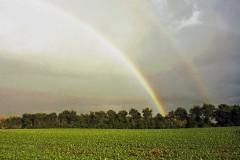 Regenboog (omgeving Ommen, 1988)