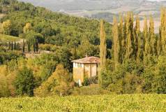 Chianti omgeving Greve (Toscane, 2007)