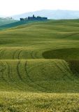 Val d'Orcia   (Toscane, 2011)