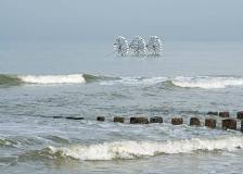 Domburg (2011)