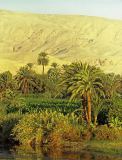 2000-M10-07 Langs de Nijl (Egypte, 2000)