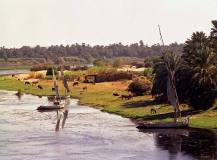 2000-M13-11A Felukkas aan de oever (Egypte, 2000)