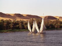 2000-M20-7A Felukkas op de Nijl (Egypte, 2000)