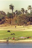 Tussen Esna en Luxor (Egypte, 2000)