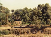 2000-M22-01-Tussen-Esna-en-Luxor-jpeg-klein